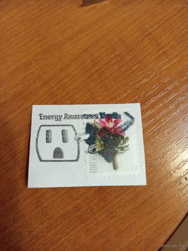 США марка флора цветы на вырезке интересное гашение вилка с розеткой электрика (5-8)