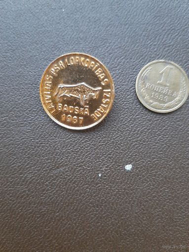 Значок Бауска 1967