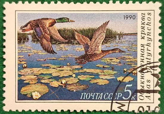 СССР 1990. Обыкновенная кряква. Марка из серии