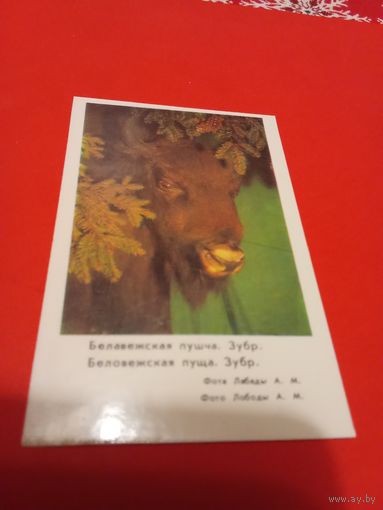 Календарик 1983г.