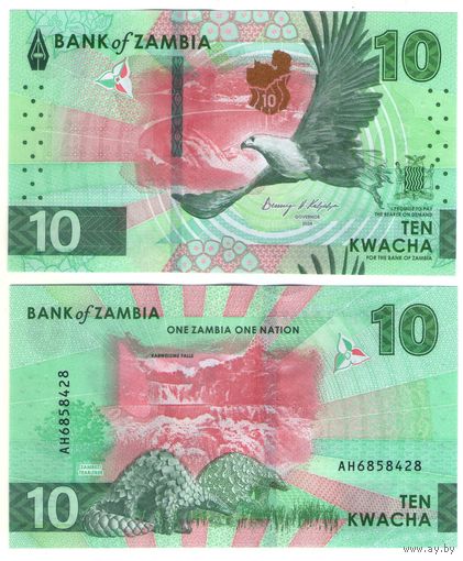 Замбия 10 квача 2024 год UNC  НОВИНКА