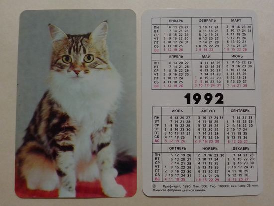 Карманный календарик. Котик.1992 год