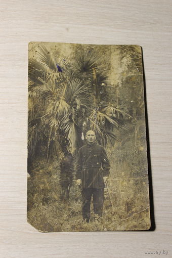 Фото с пальмой, до 1917 года, размер 14*9 см.