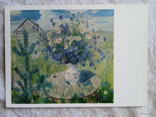 Шаманов. Полевые цветы