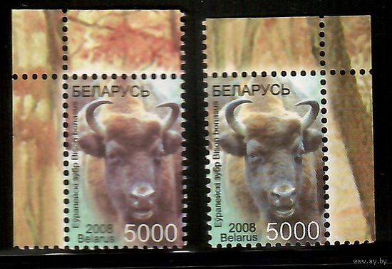 Беларусь. 2008. Стандарт. Европейский зубр (5000р) мел + офсет