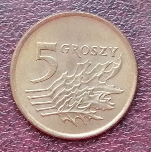 Польша 5 грошей, 1990-2014