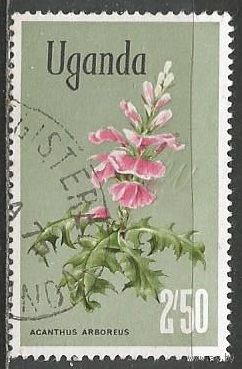 Уганда. Акантус. 1969г. Mi#116.