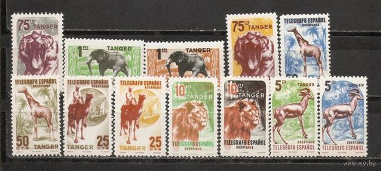 ФФ1 Танжер (испанский) 1955 Фауна Телеграфные марки