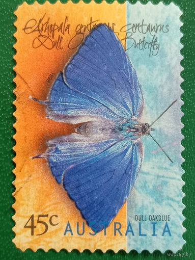 Австралия 1998. Фауна. Бабочки.