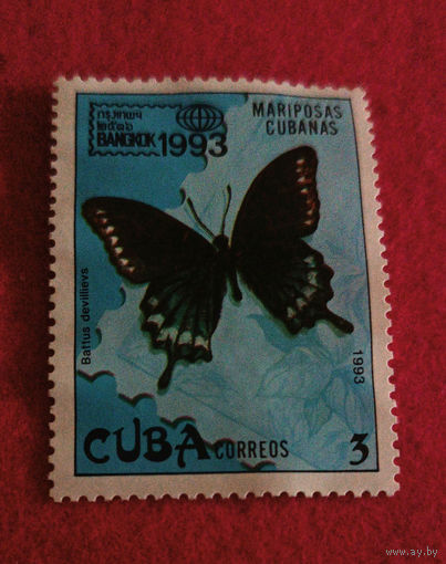 Куба, бабочка
