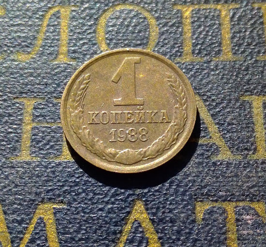 1 копейка 1988 СССР #42