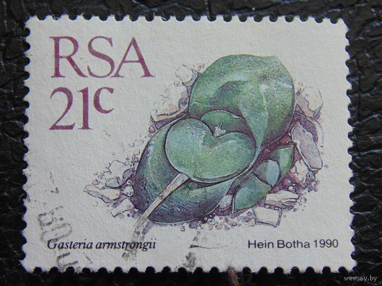 ЮАР 1990 г. Флора.