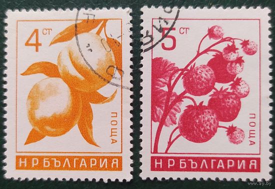 Болгария 1965 ягоды 2 из 6, клей.