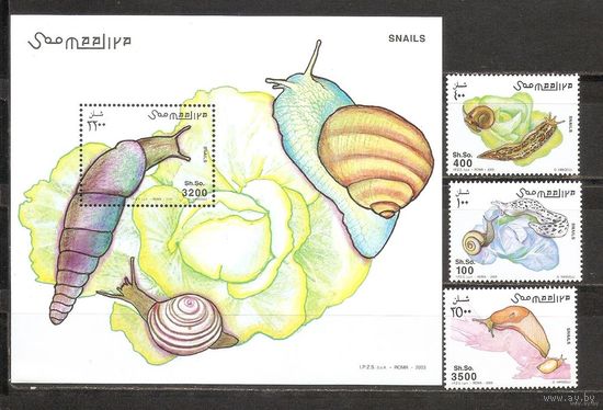 Фауна Улитки Моллюски Ракушки Сомали 2003   MNH
