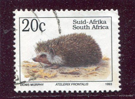 ЮАР. Фауна. Южноафриканский еж