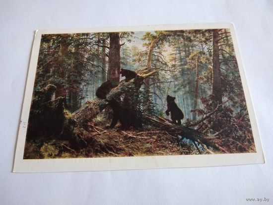 Открытка 1961г. И. Шишкин. Утро в сосновом лесу.