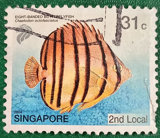 Сингапур 2004. Тропические рыбы. Восьмиполосая рыба-бабочка