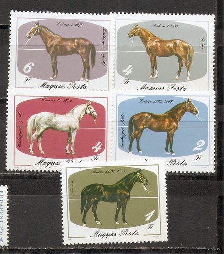 ФФ1 Венгрия 1985 Лошади