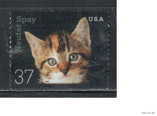 США-2002 (Мих.3644) , гаш., Фауна, Кошки,