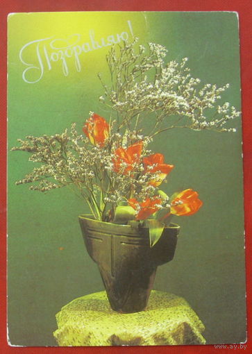 Поздравляю! Чистая. 1984 года. Фото Гукова. 898.