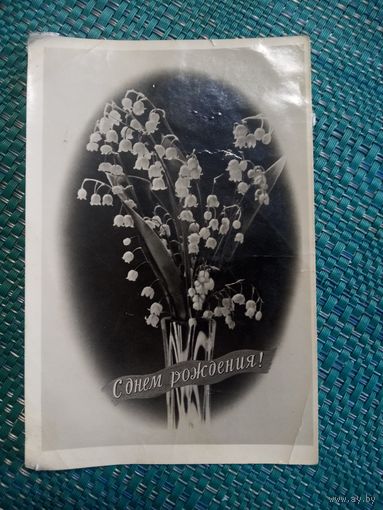 Открытое письмо. С днём рождения! ЛЕНФОТОХУДОЖНИК. тир 25000. 1954 год.