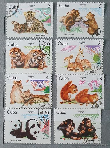 Куба детеныши животных 8шт