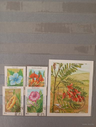 Флора Афганистан