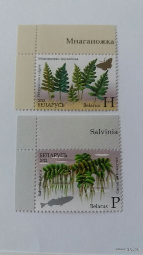 РБ 2012    2м