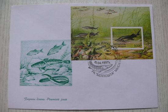 1997, КПД, Беларусь, блок, СГ; Рыбы.