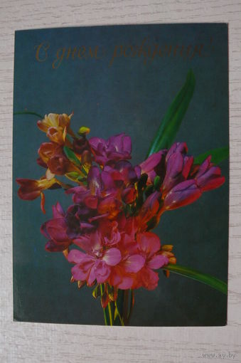 Савалов Е., С днем рождения! 1985, подписана.