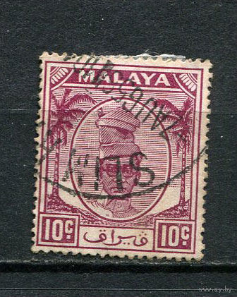 Малайские штаты - Селангор - 1949/1955 - Султан Хисамуддин Алам Шах 10С - [Mi.61] - 1 марка. Гашеная.  (Лот 37CQ)