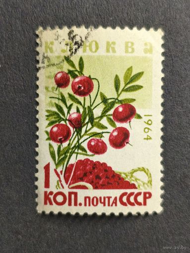 1964 СССР. Ягоды. Клюква