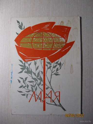Коминарец И . 1966 г.