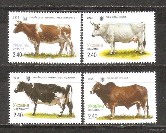 ФФ1 Украина 2015 Коровы