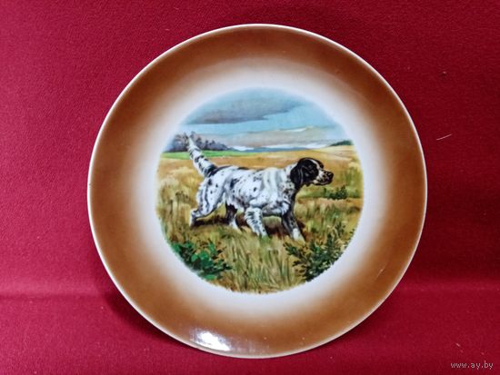 С рубля без мц. настенная тарелка "спаниель". диам 20см.