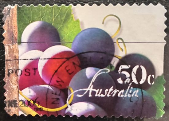 Австралия 2006. Флора. Виноград