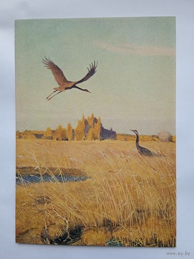 1954. Никольский. Журавли