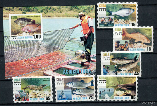 Куба - 2008 - Морская фауна. Рыболовный промысел - [Mi. 5049-5054 bl.237] - полная серия - 6 марок и 1 блок. MNH.  (LOT H53)