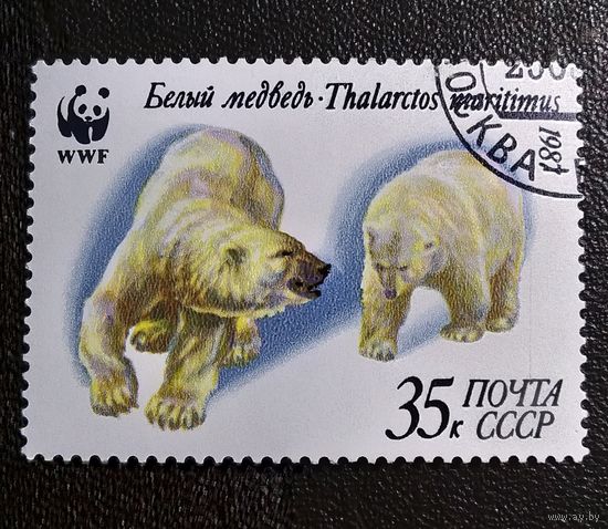 Марка СССР 1987 год Белый медведь