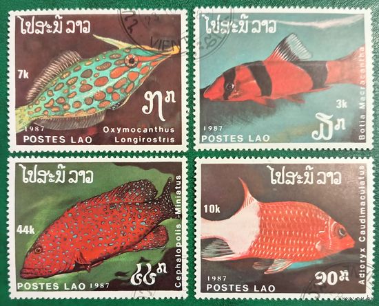 Лаос 1987. Тропические рыбы