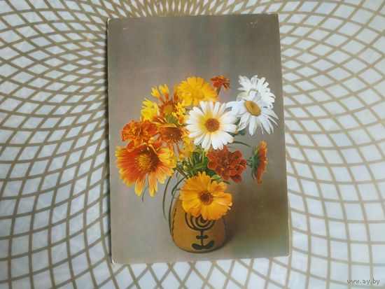 Открытка СССР 1984 год.   Чистая. Е.Савалов . Состояние на скане.