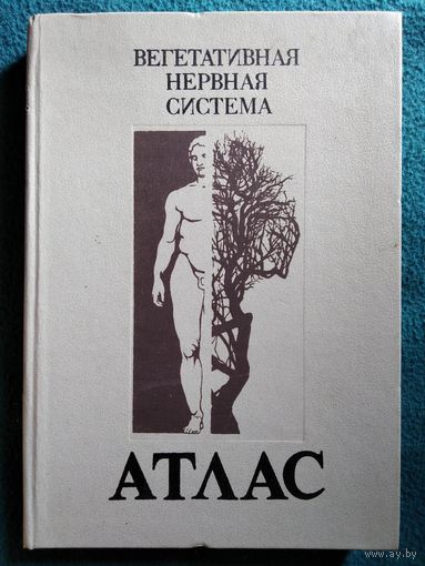 Вегетативная нервная система. Атлас