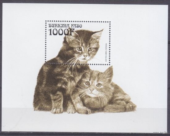 1999 Буркина-Фасо 1677/B192 Кошки 5,50 евро