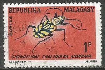 Республика Мадагаскар. Жук Жужелица. 1966г. Mi#546.
