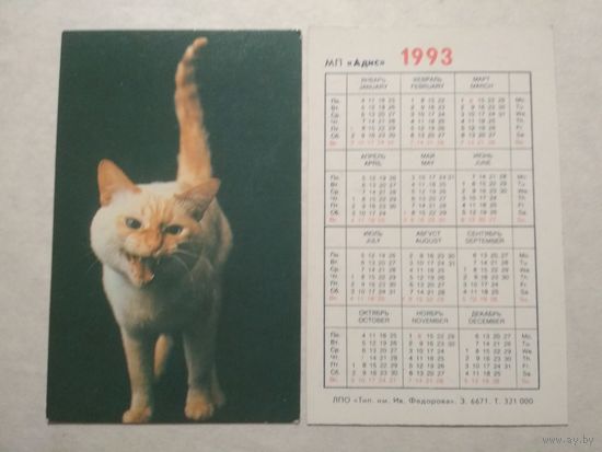Карманный календарик. Котик.1993 год