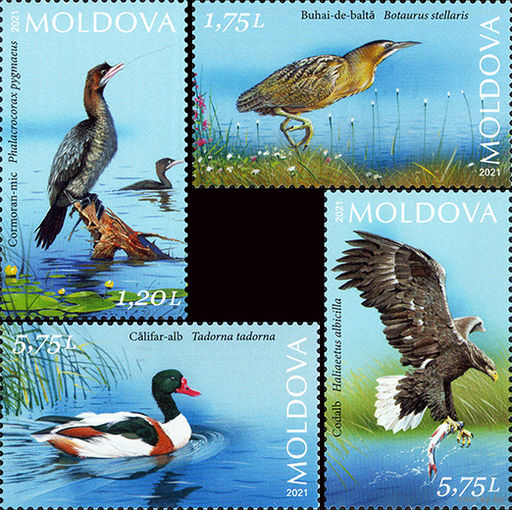Молдова 2021. Фауна. Птицы заповедник 4 марки (779)