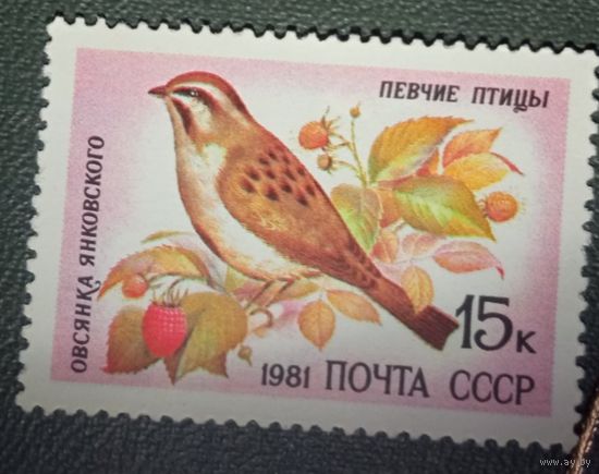 Марка СССР Птицы 1981