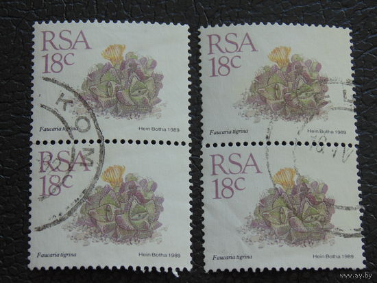ЮАР 1989 г. Флора.