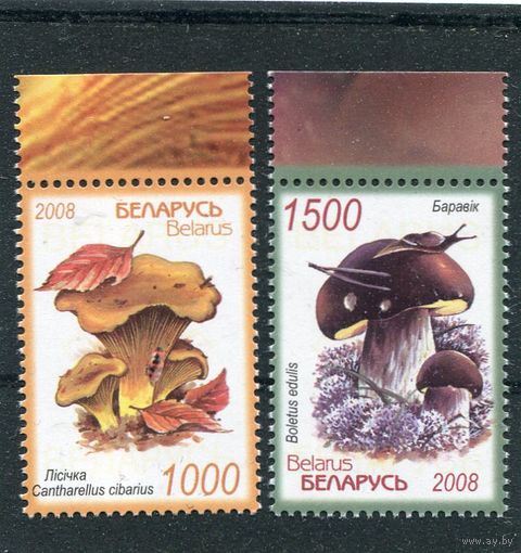 Беларусь 2008. Грибы