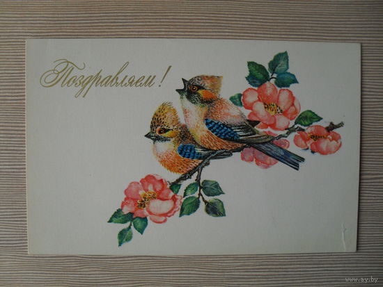 ПОДПИСАННАЯ ОТКРЫТКА СССР. 1975 ГОД. "ПОЗДРАВЛЯЕМ!" худ. Л. МАНИЛОВА.